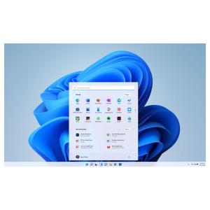 מערכת הפעלה Win 11 Home 64Bit OEI DVD